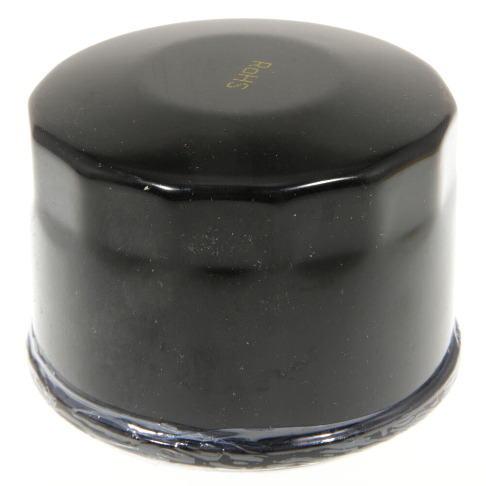 Cub Cadet XT1 XT2 Engine Oil Filter | OEM 490-201-C003