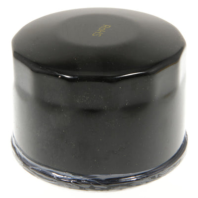 Cub Cadet XT1 XT2 Engine Oil Filter | OEM 490-201-C003