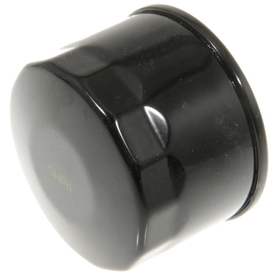 Cub Cadet XT1 XT2 Engine Oil Filter | OEM 490-201-C003